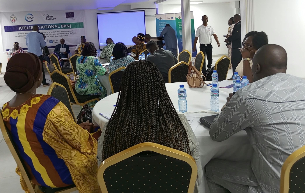 Accord BBNJ : La société civile togolaise s’imprègne de sa mise en œuvre